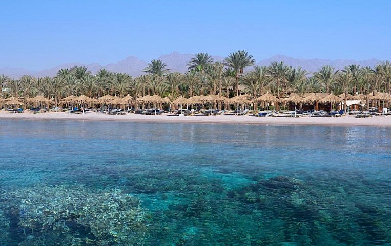 Sharm Dreams Vacation Club 5*