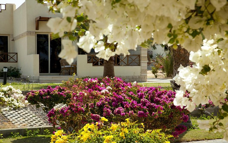 Coral Beach Hurghada 4*