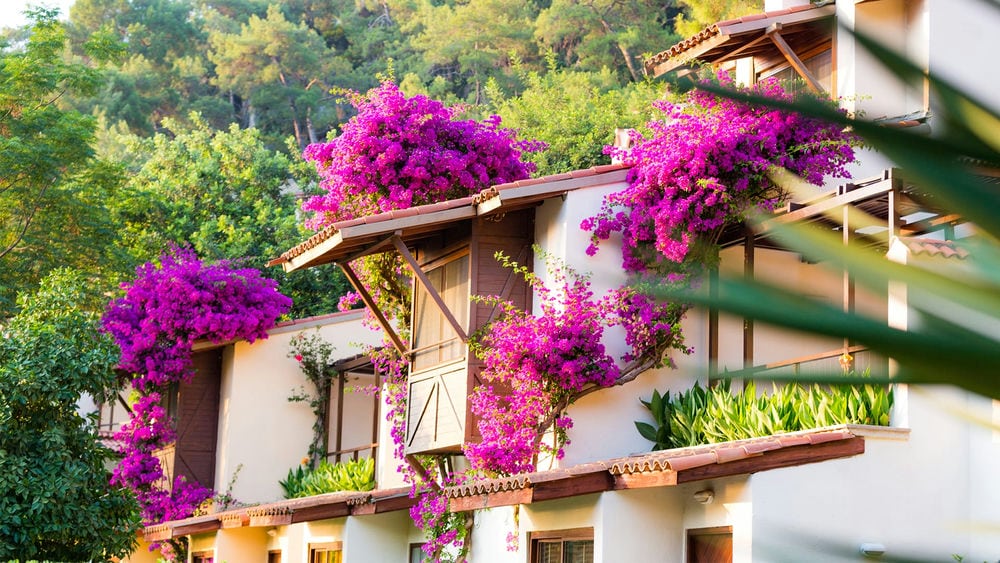 Hillside Beach Club 5*