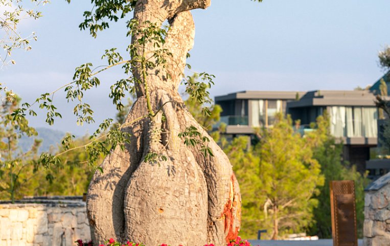 Lujo Hotel Bodrum 5*