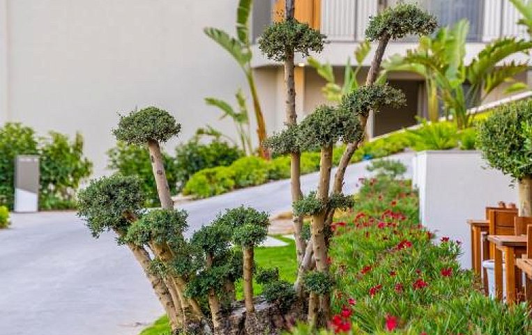 Mirada Exclusive Bodrum 5*