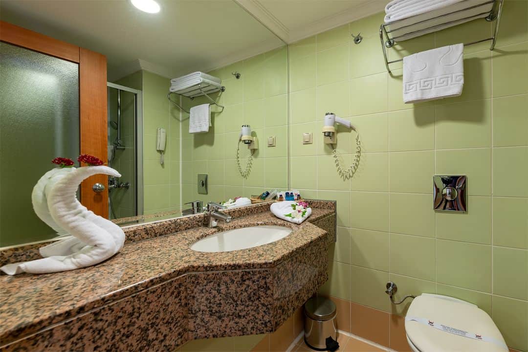 Viking Park Hotel & Spa 4*