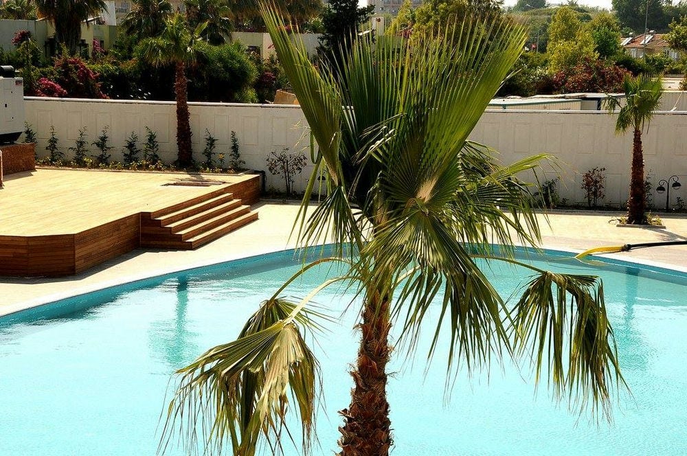 Orfeus Queen Hotel 4*