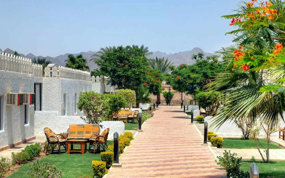 ALBATROS SHARM RESORT (EX. BEACH ALBATROS)
