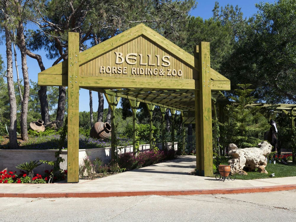 BELLIS DELUXE
