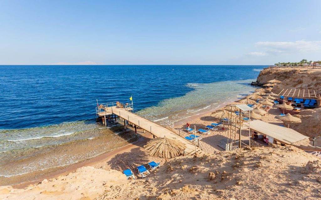 CLUB REEF