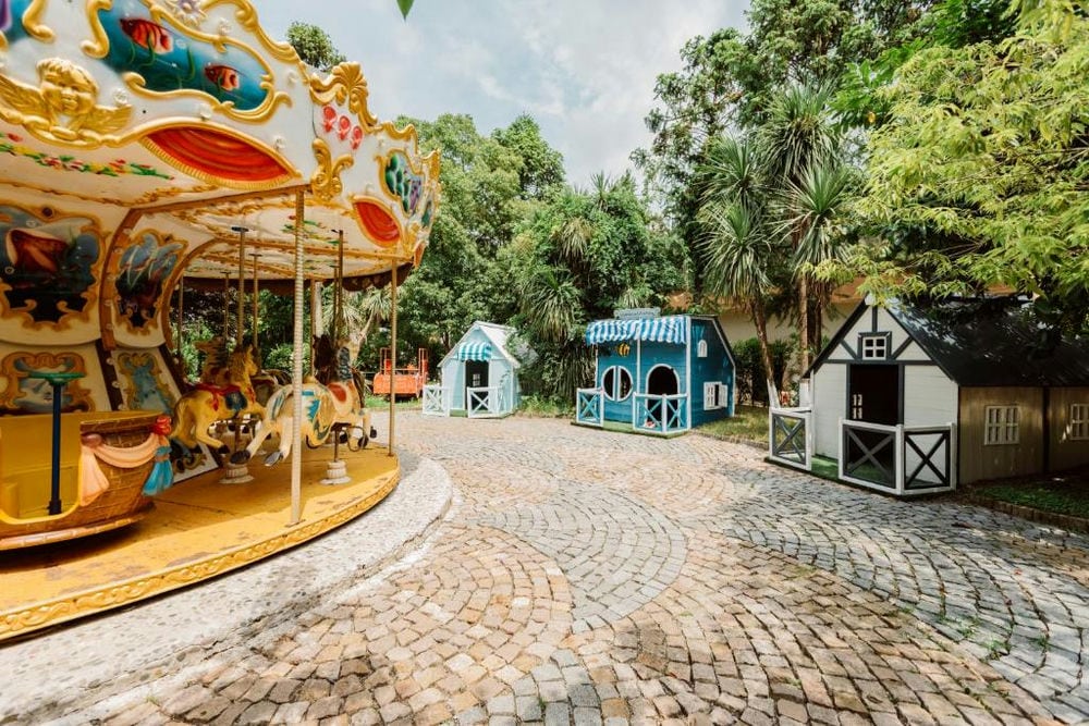 DREAMLAND OASIS