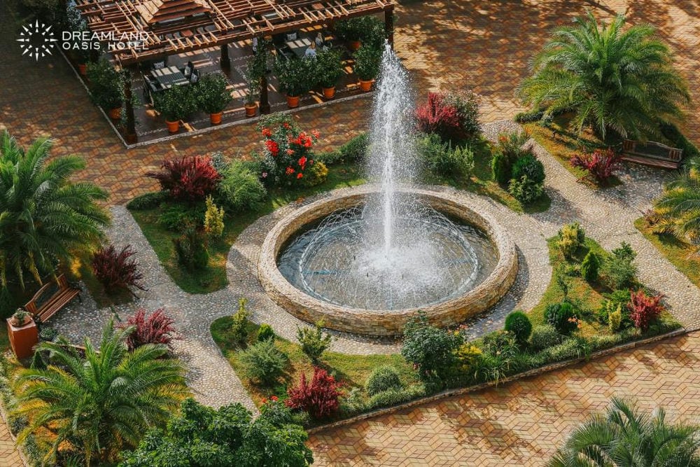 DREAMLAND OASIS