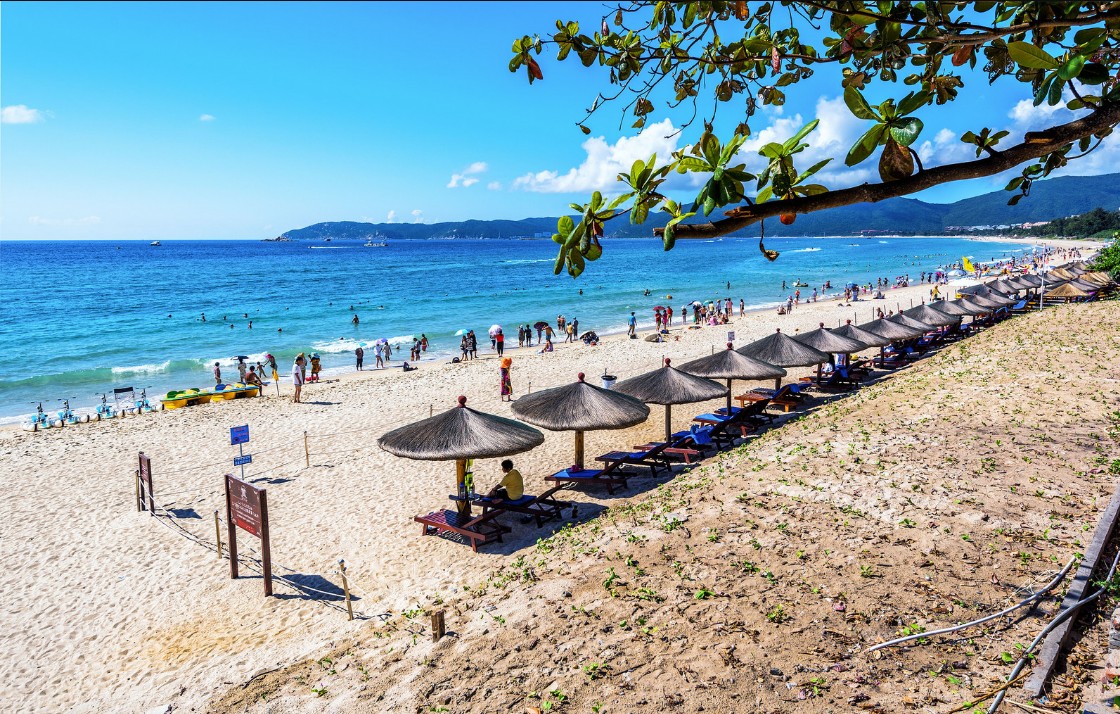 Golden Palm Resort 