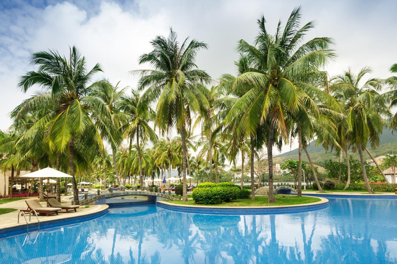 Golden Palm Resort 