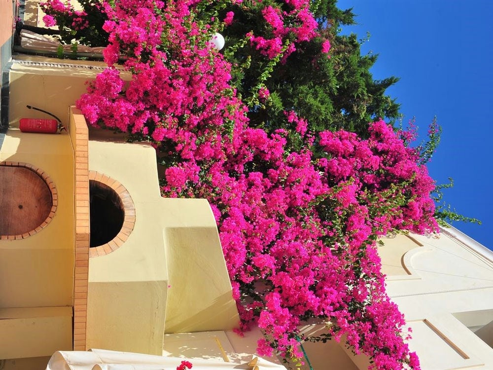 HYDRAMIS PALACE BEACH RESORT