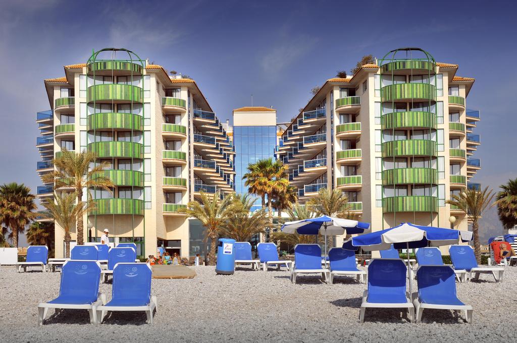 KAKTUS ALBIR
