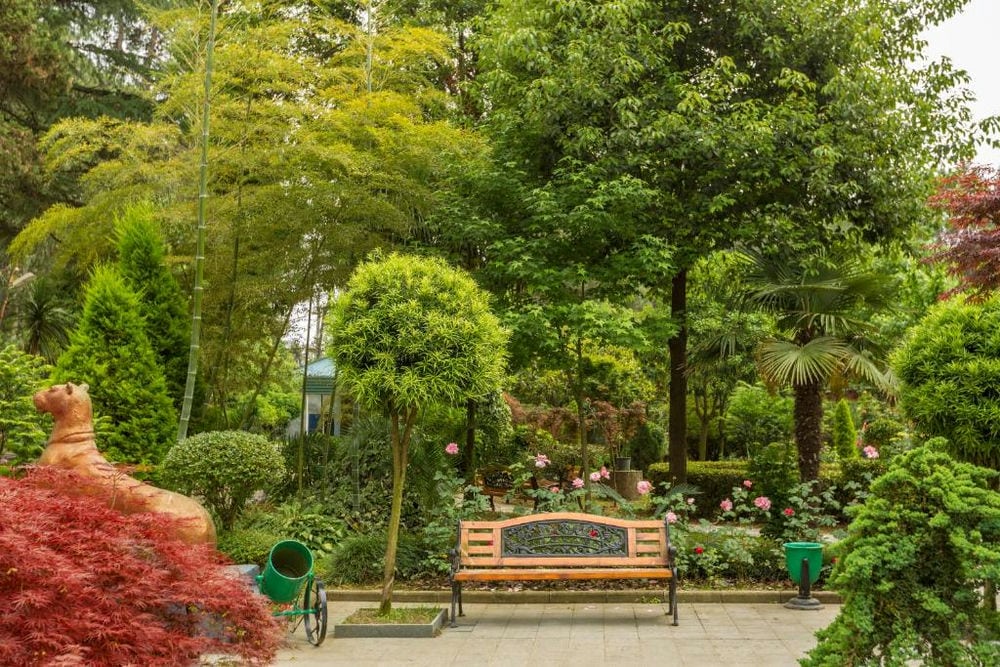 KOLKHIDA RESORT & SPA
