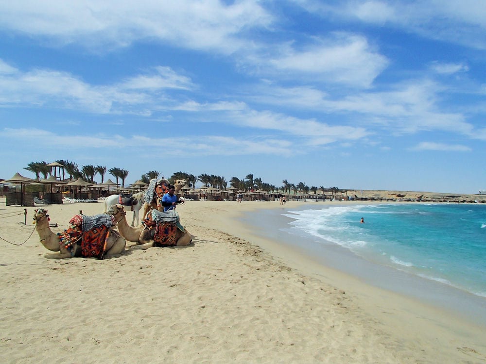 MALIKIA RESORT ABU DABBAB