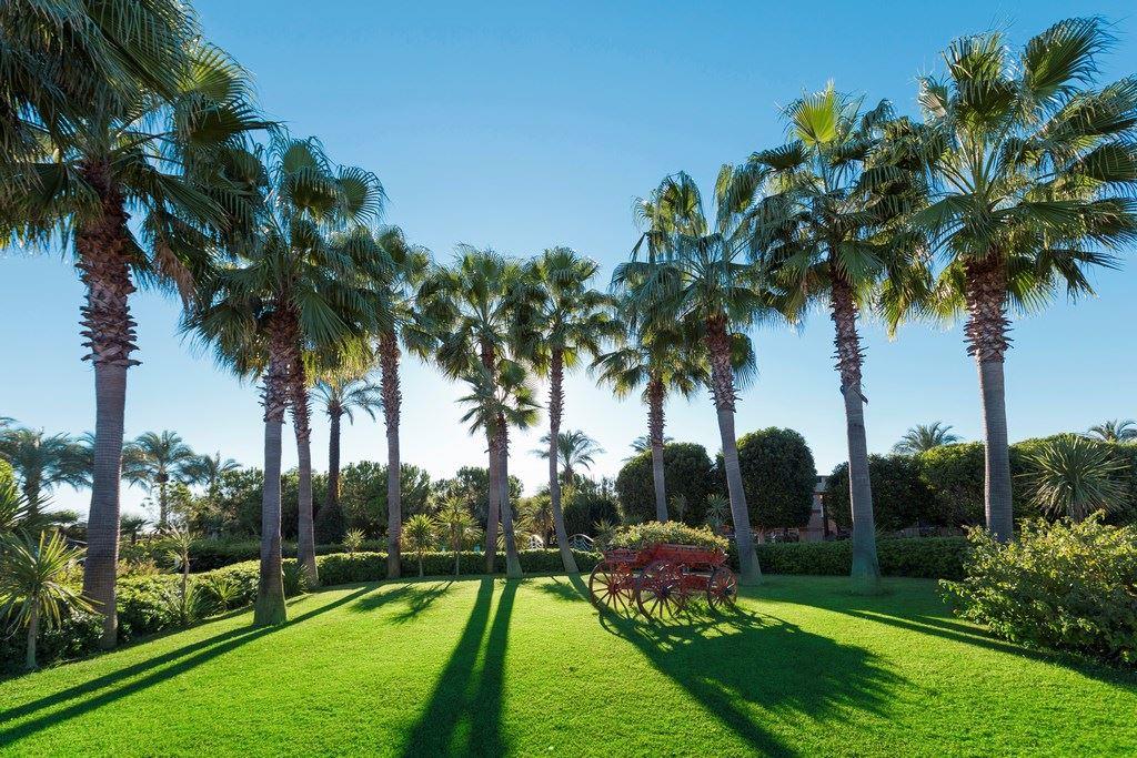 MIRACLE RESORT HOTEL