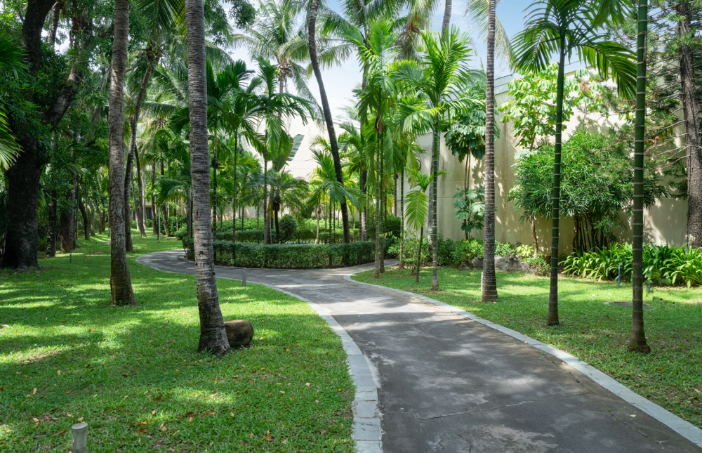 Palm Beach Resort