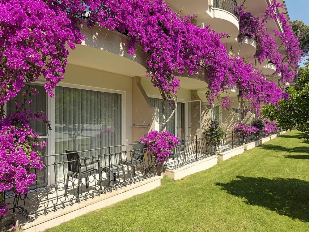 PINE BEACH BELEK
