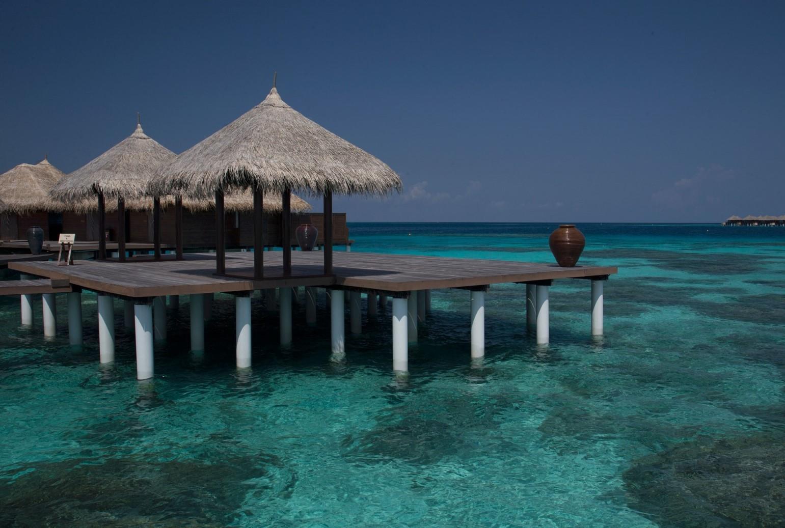 COCO BODU HITHI