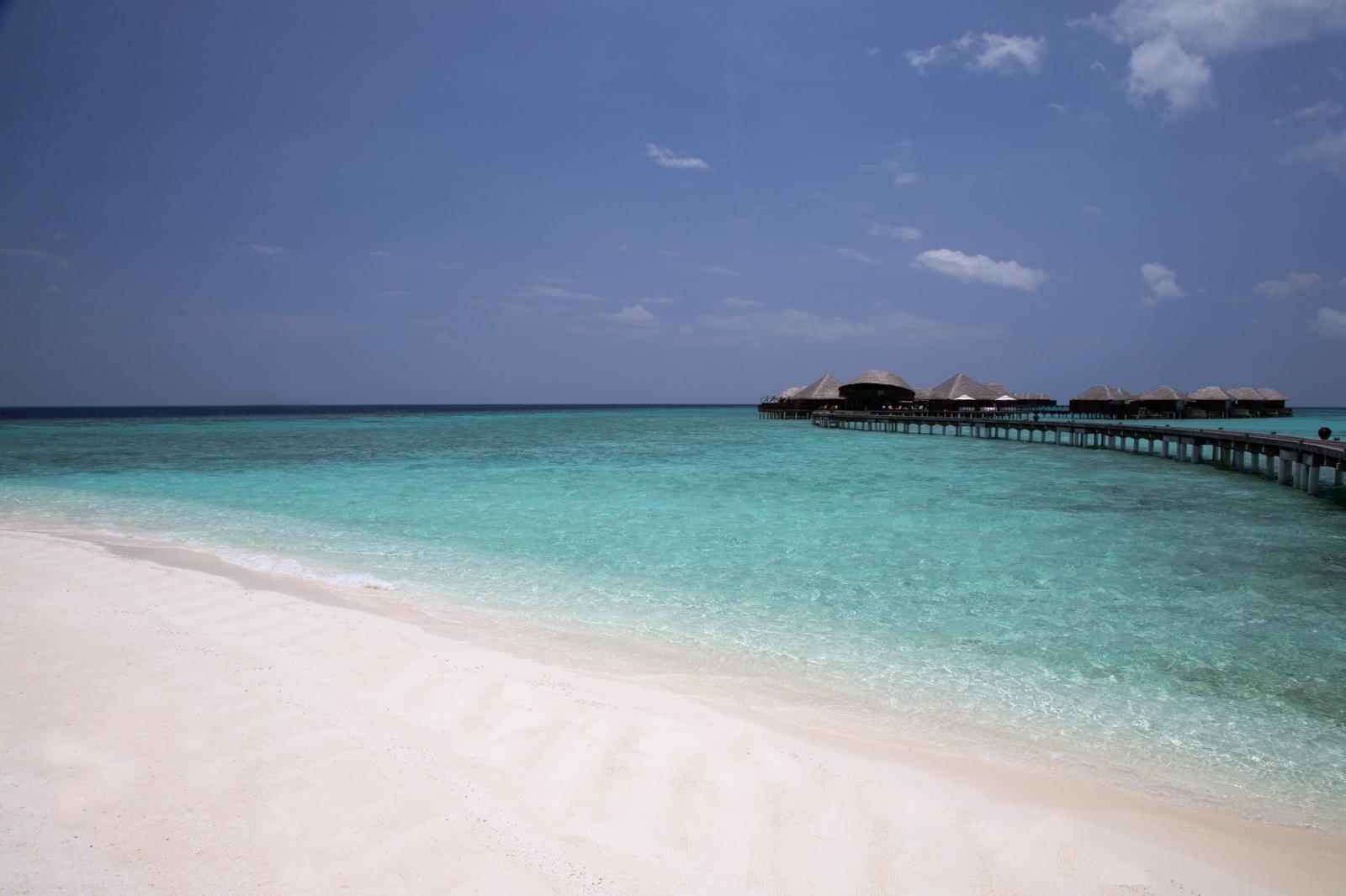 COCO BODU HITHI