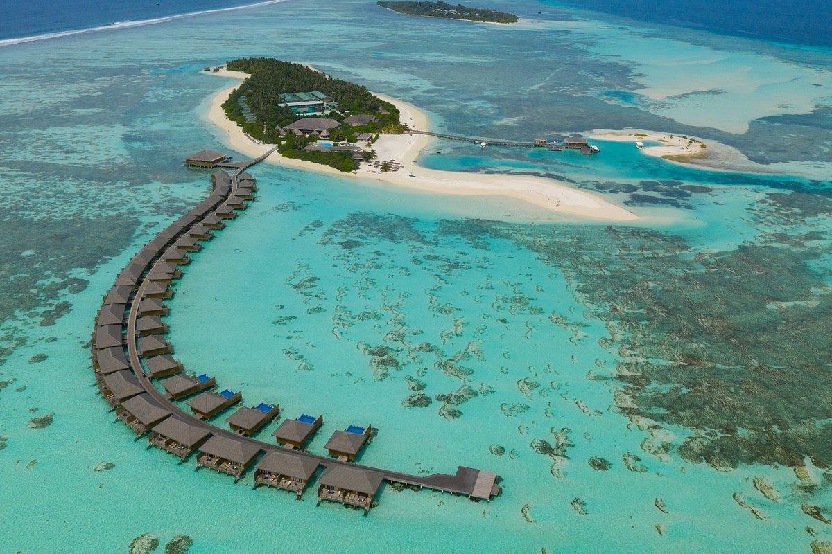 COCOON MALDIVES 