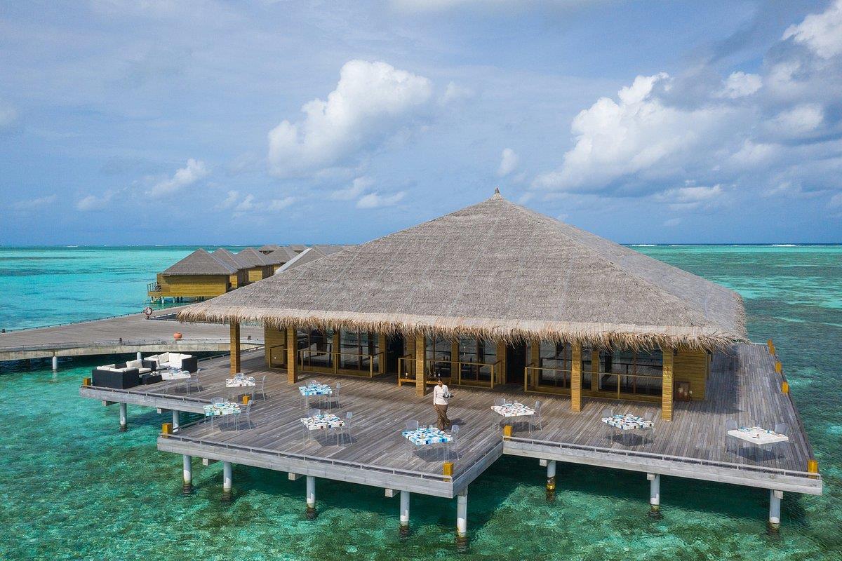 COCOON MALDIVES 