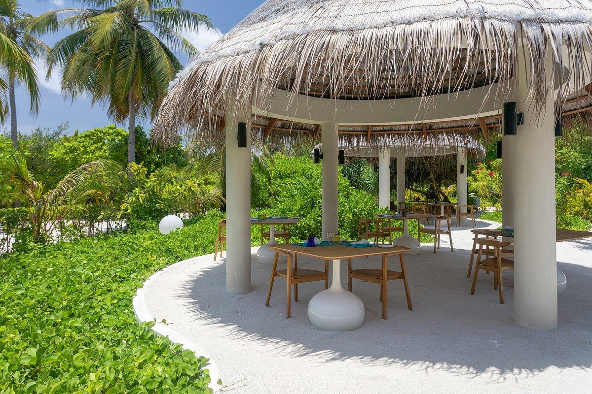 COCOON MALDIVES 