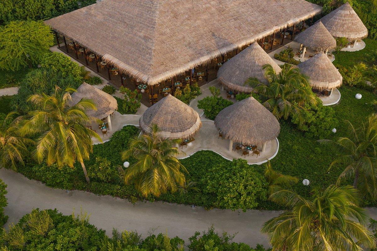 COCOON MALDIVES 