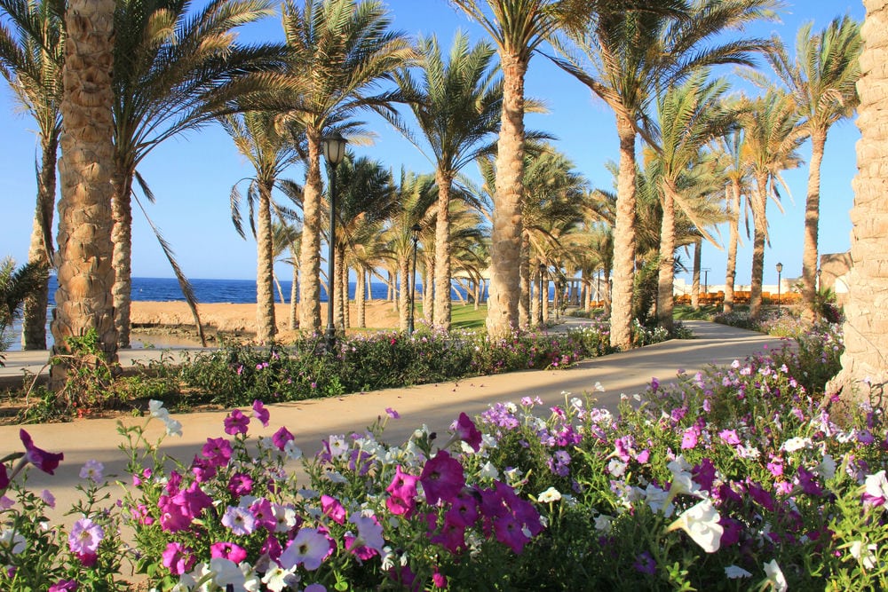 ROYAL BRAYKA BEACH RESORT 