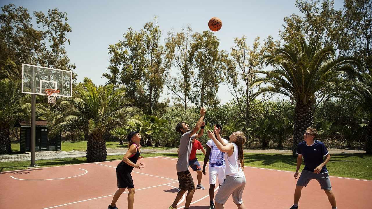 ROBINSON SARIGERME PARK