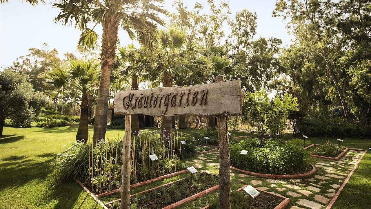 ROBINSON SARIGERME PARK