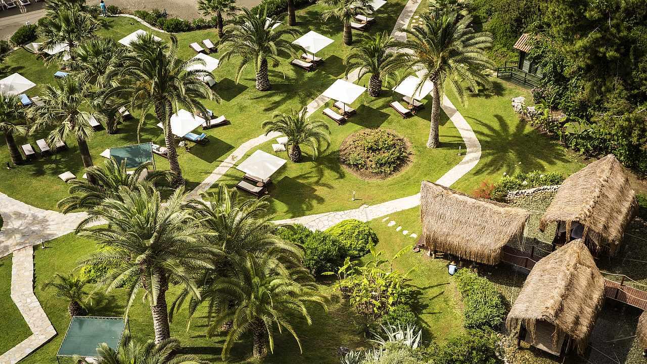 ROBINSON SARIGERME PARK