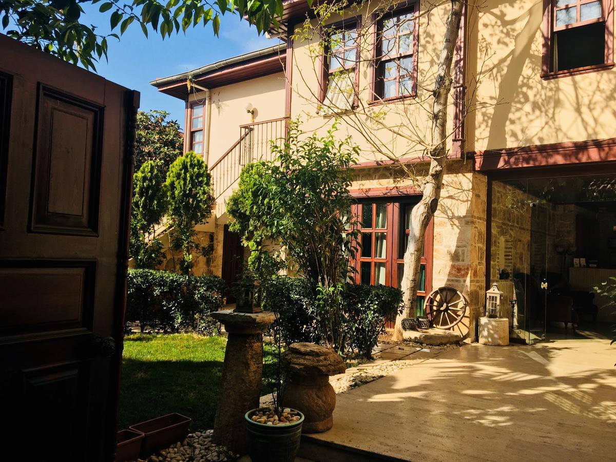 MEDITERRA ART HOTEL